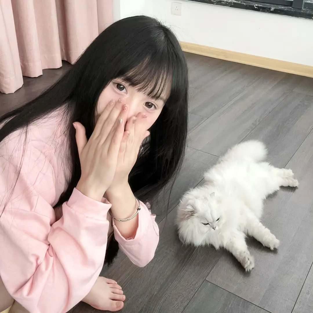 好莱坞以北